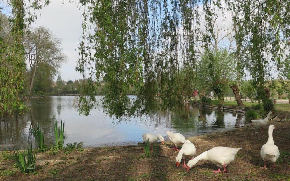 Le Clos Des Marais De Fontenay Экстерьер фото